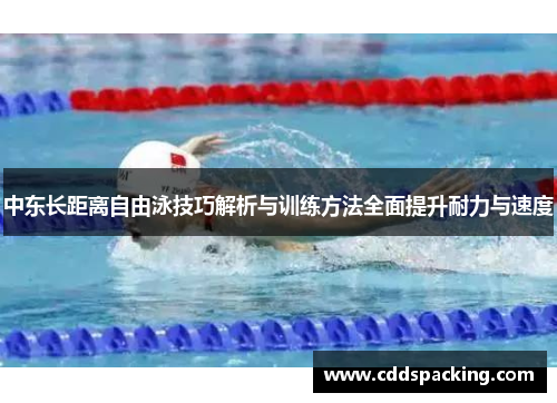 中东长距离自由泳技巧解析与训练方法全面提升耐力与速度
